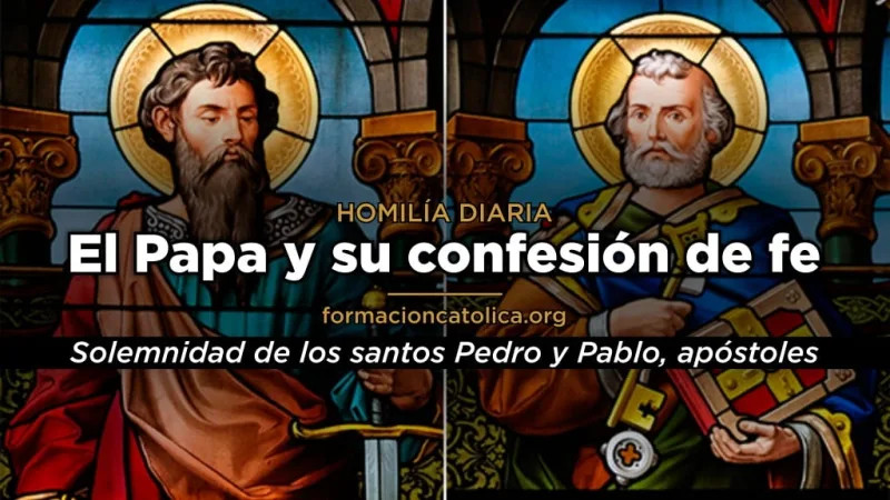 El Papa y su confesión de fe