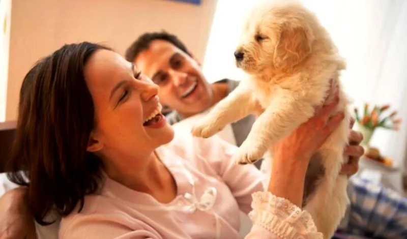 Las crías de los animales no son bebés y las «madres de mascotas» no son madres
