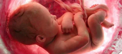 Sobre el aborto: Cuando la Ve es muy corta